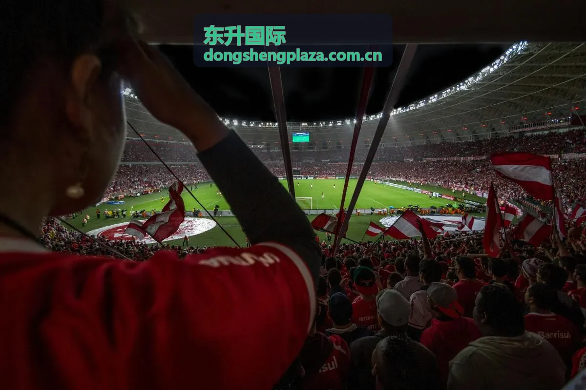 东升国际联系顾问